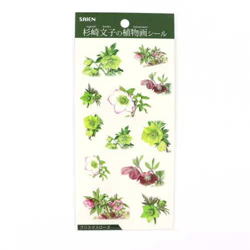 Saien - Sticker, Sugisaki Fumiko's plant painting sticker: Christmas rose (J-0005)